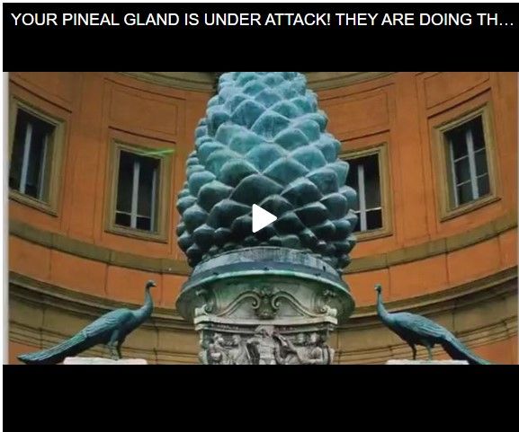 YOUR PINEAL GLAND IS UNDER ATTACK! THEY ARE DOING THIS TO CONTROL YOU!